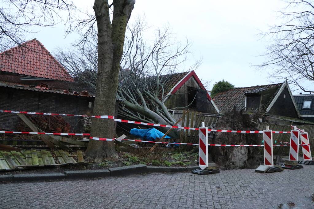 Grote boom valt op woningen en schuur