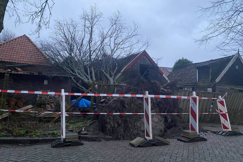 Grote boom valt op woningen en schuur