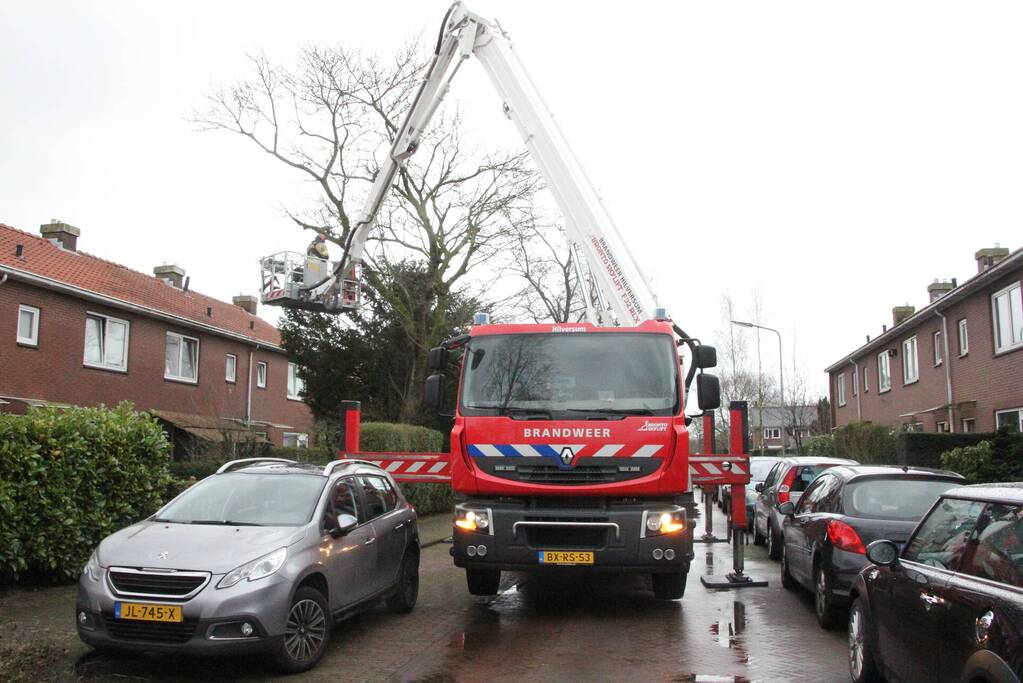 Brandweer haalt gevaarlijke takken uit boom