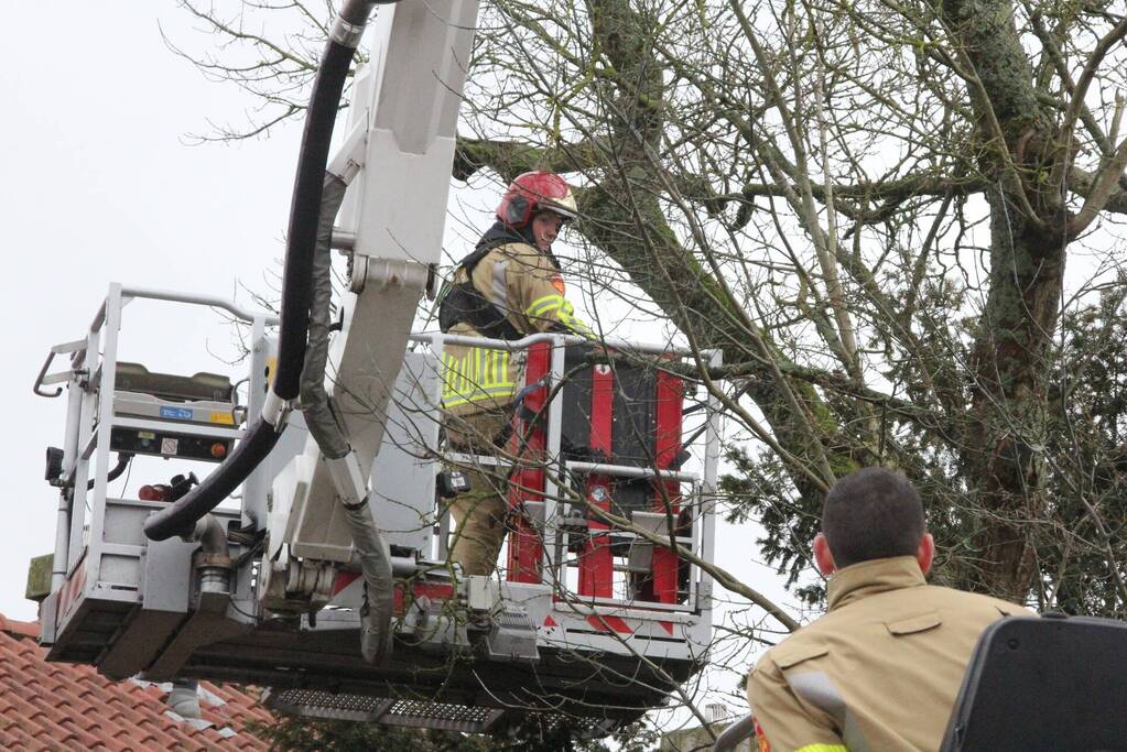Brandweer haalt gevaarlijke takken uit boom