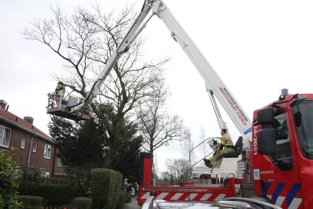Brandweer haalt gevaarlijke takken uit boom