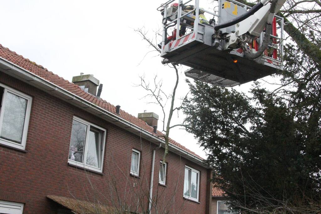 Brandweer haalt gevaarlijke takken uit boom