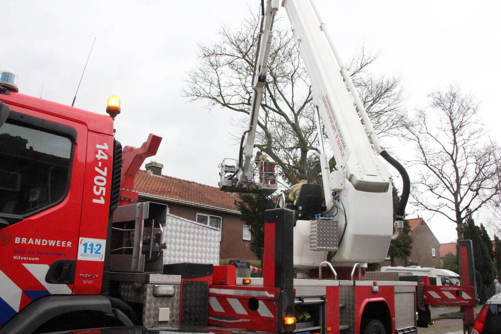 Brandweer haalt gevaarlijke takken uit boom