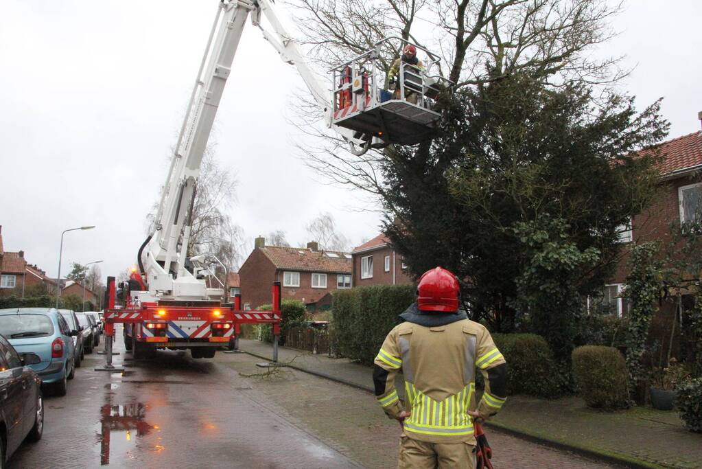 Brandweer haalt gevaarlijke takken uit boom