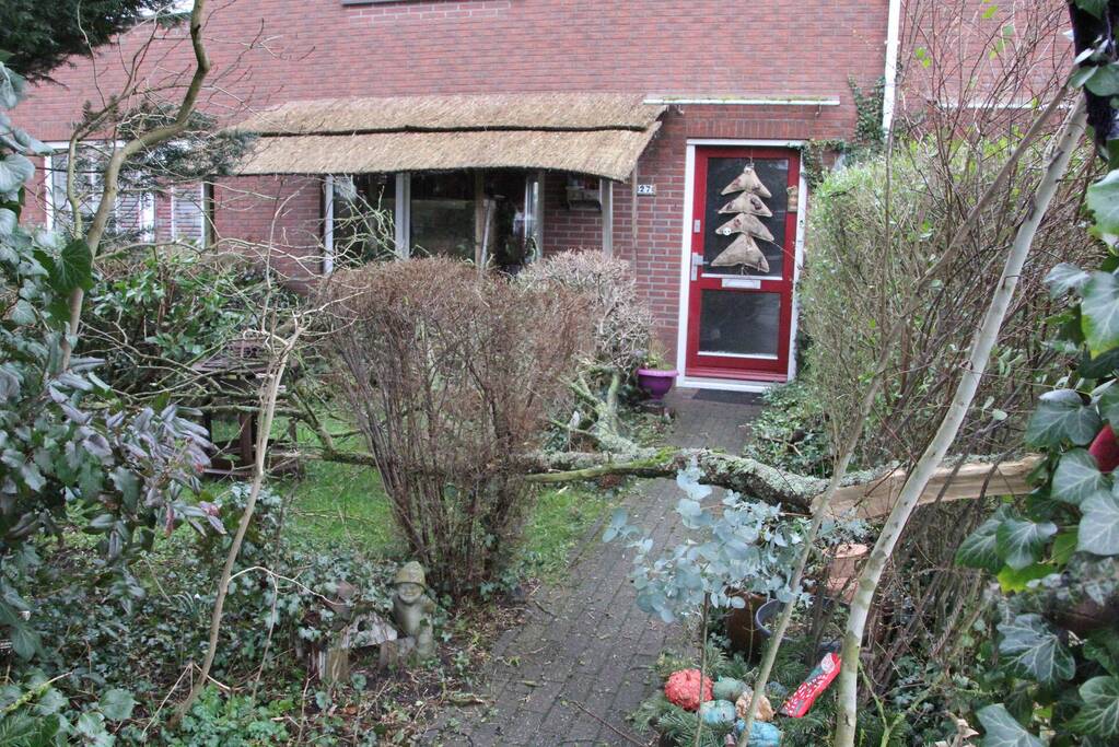 Brandweer haalt gevaarlijke takken uit boom