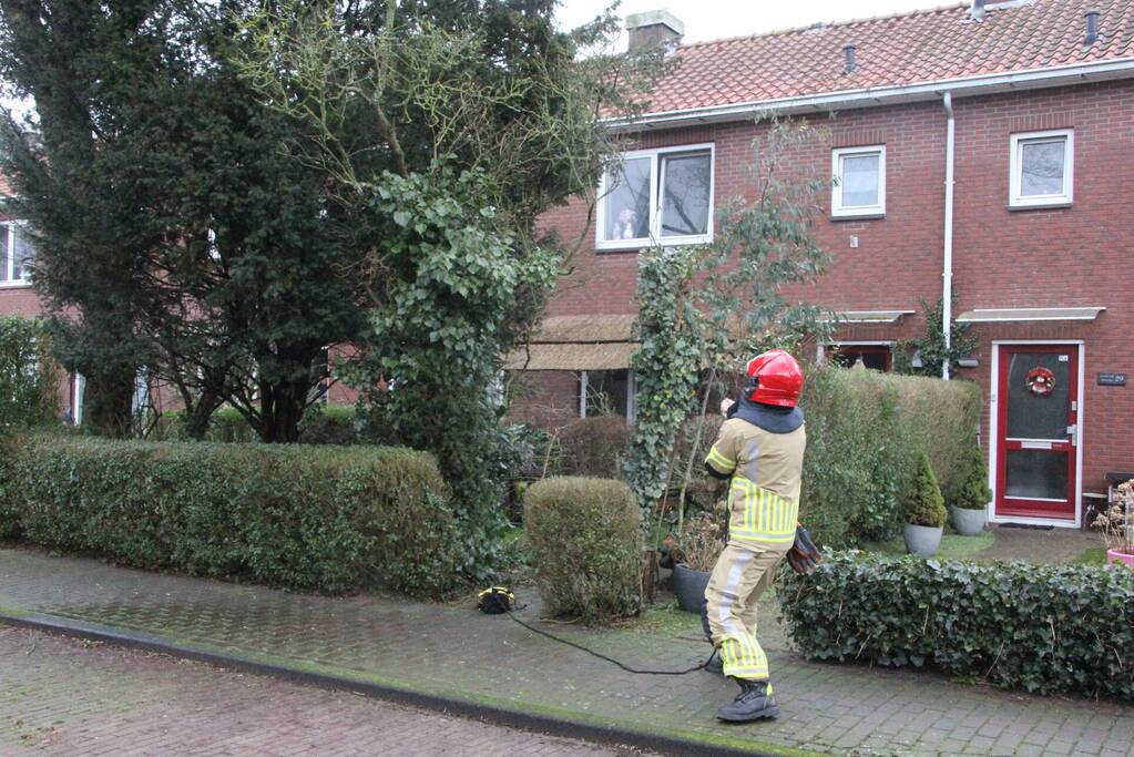 Brandweer haalt gevaarlijke takken uit boom