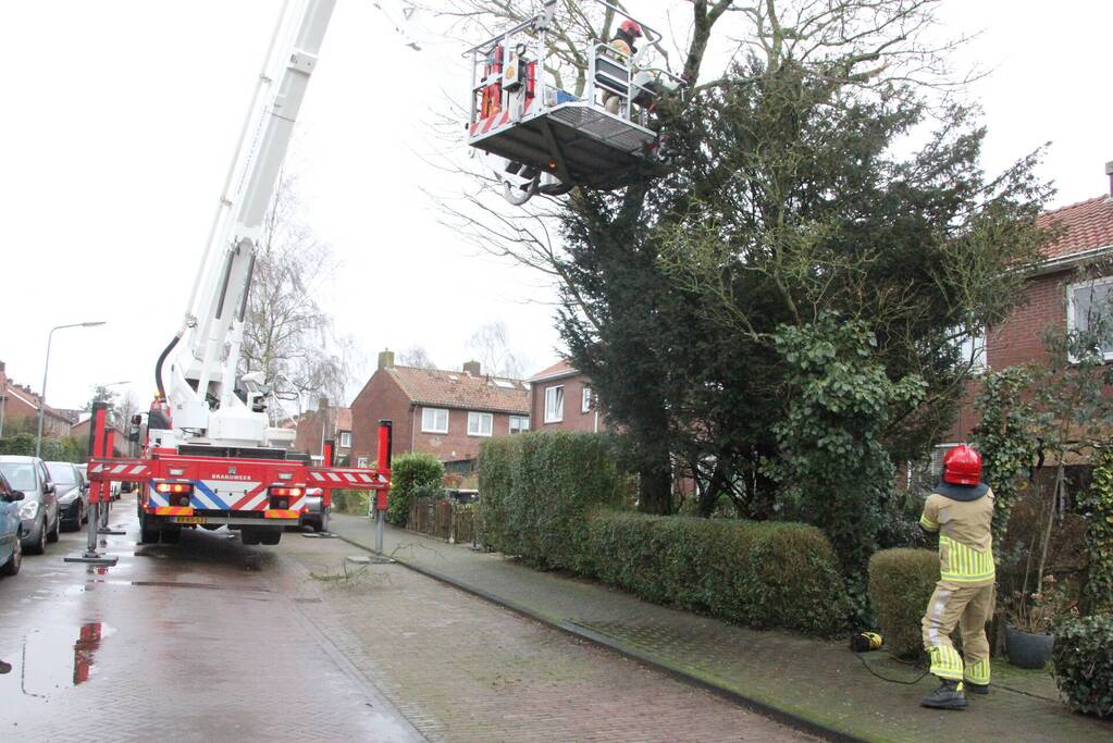 Brandweer haalt gevaarlijke takken uit boom