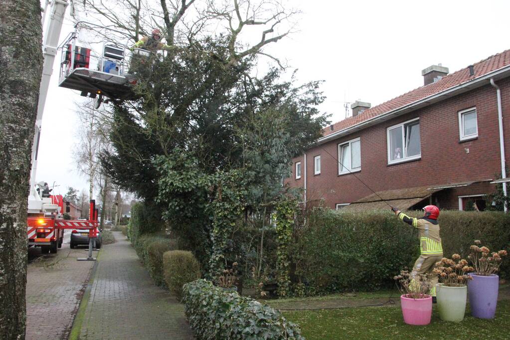 Brandweer haalt gevaarlijke takken uit boom
