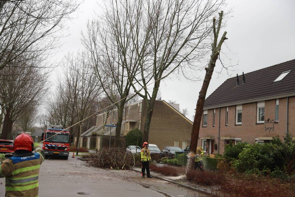 Boom dreigt op woning te vallen