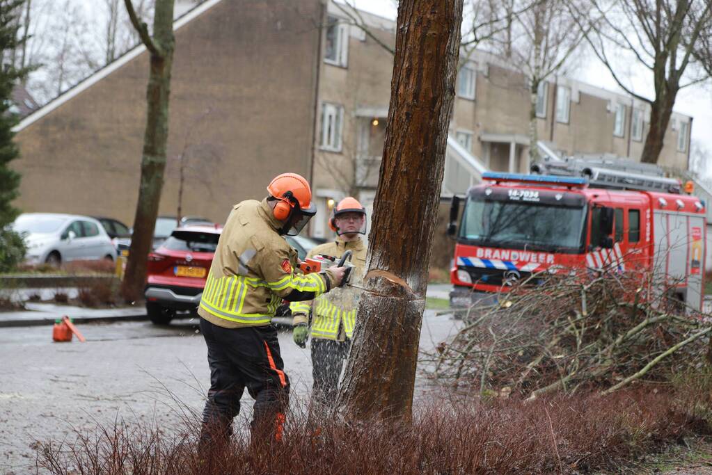 Boom dreigt op woning te vallen