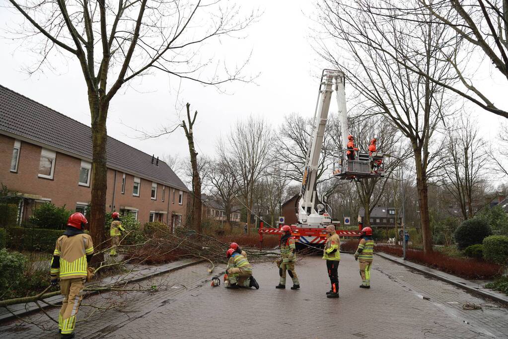 Boom dreigt op woning te vallen