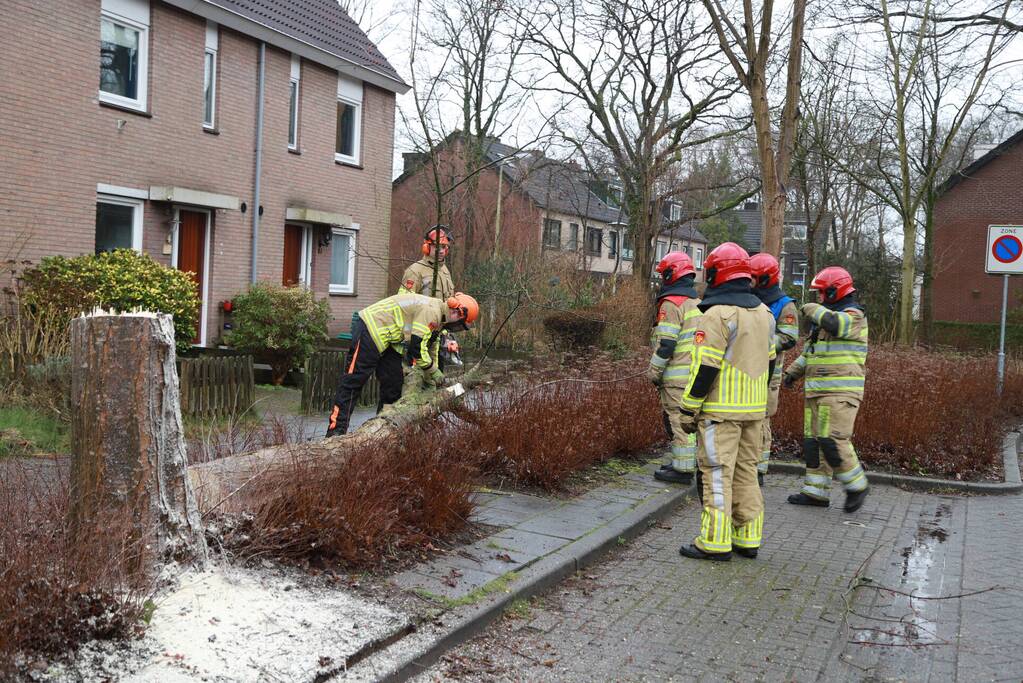 Boom dreigt op woning te vallen