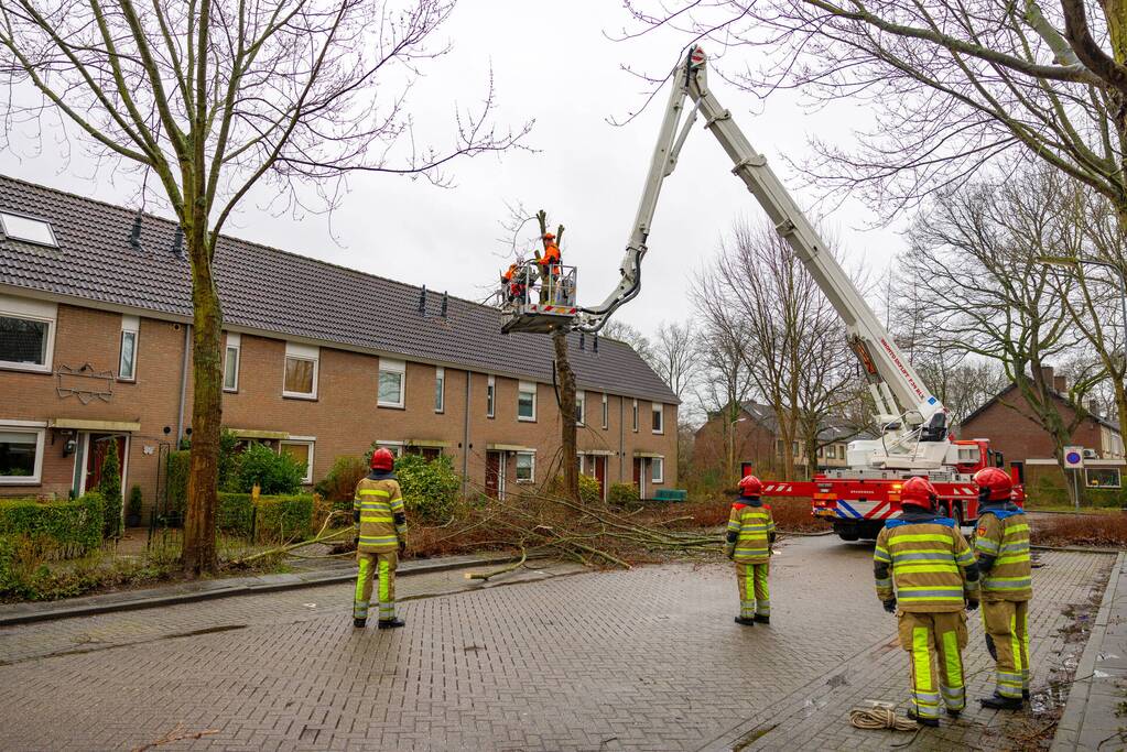 Boom dreigt op woning te vallen