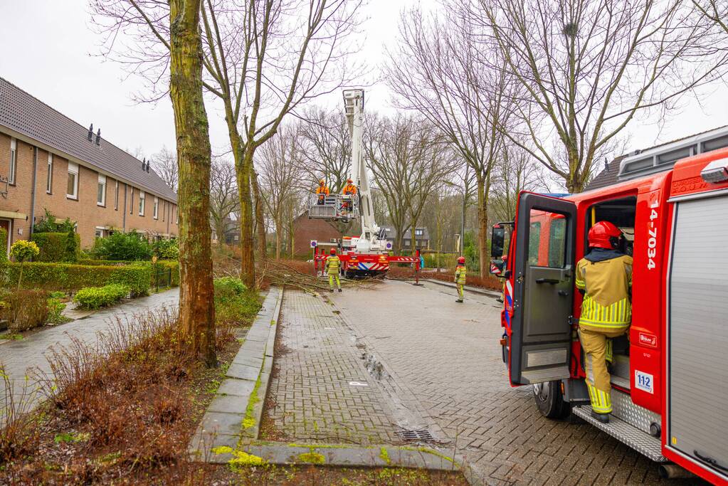 Boom dreigt op woning te vallen