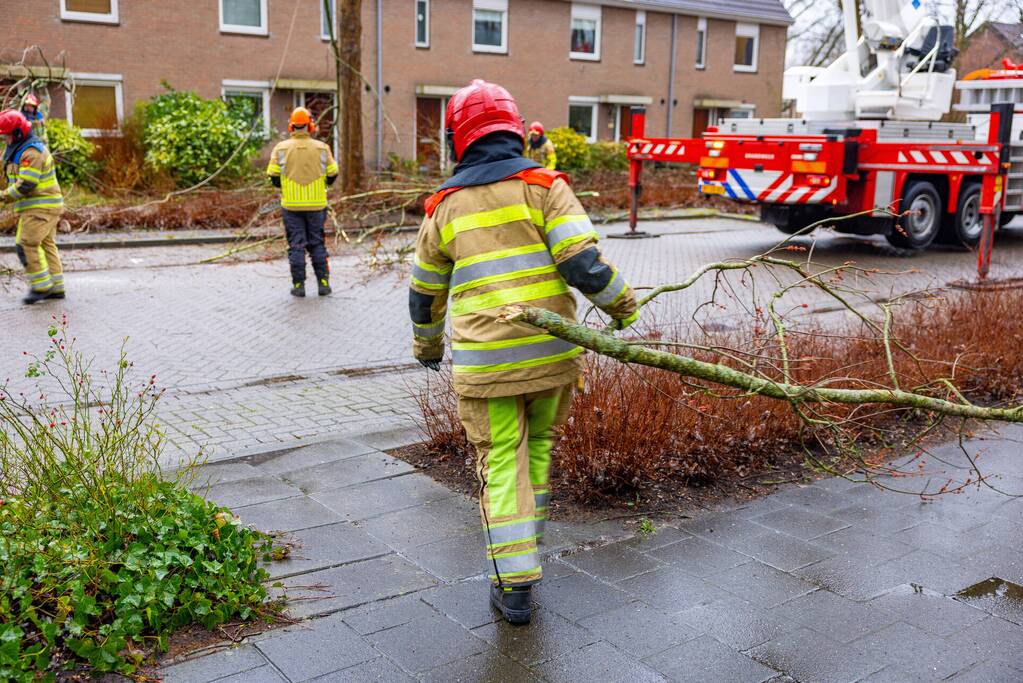 Boom dreigt op woning te vallen
