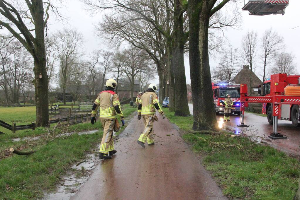 Brandweer zaagt gevaarlijk hangende tak uit boom