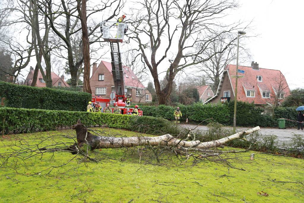 Boom dreigt op auto's te vallen