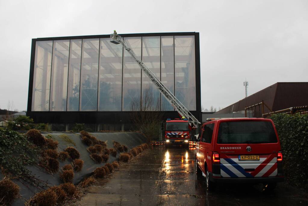 Wateroverlast bij tropisch bos Omnium