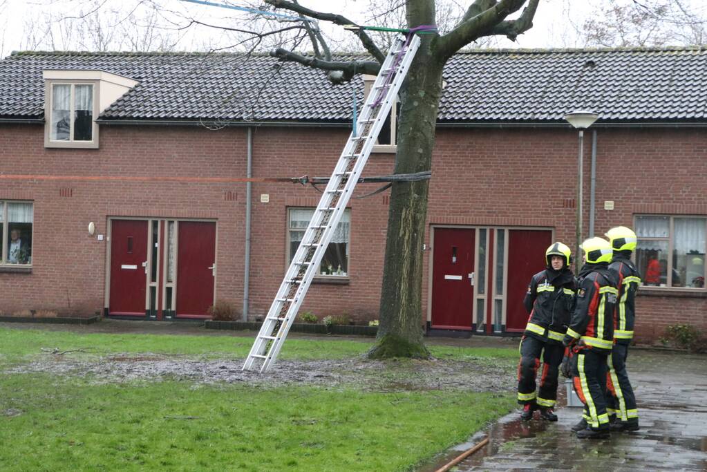 Woningen ontruimd nadat bomen dreigen om te waaien