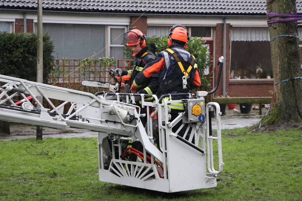 Woningen ontruimd nadat bomen dreigen om te waaien