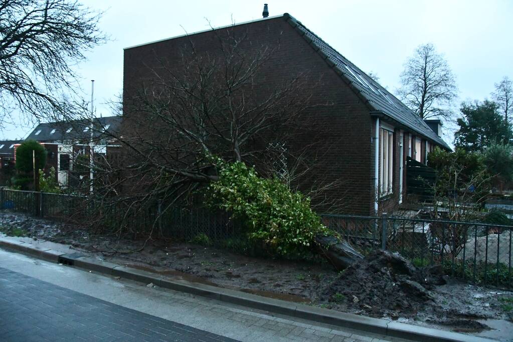 Boom valt tegen woning