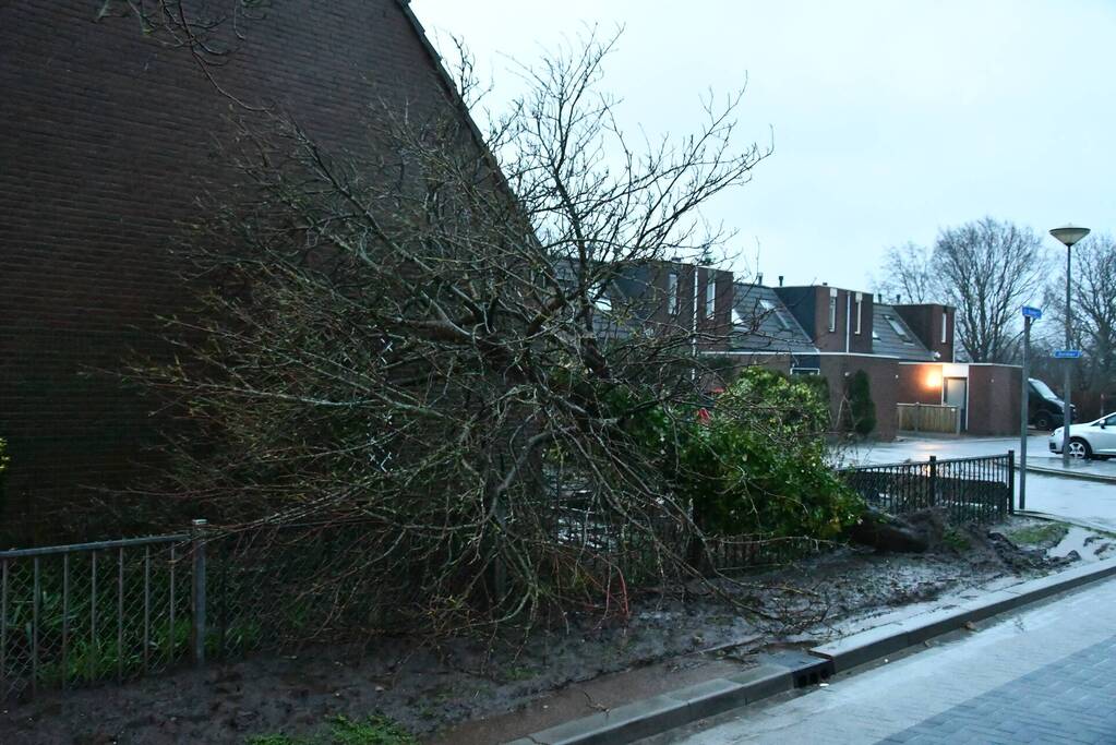 Boom valt tegen woning