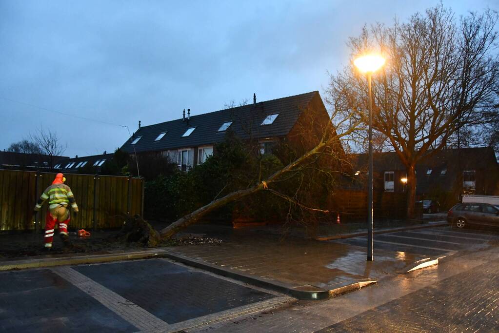 Boom valt tegen woning
