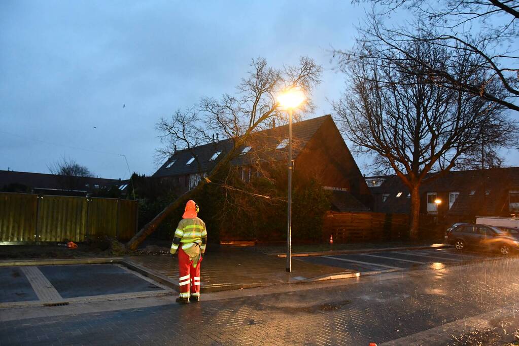 Boom valt tegen woning