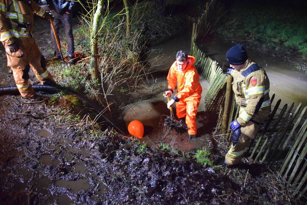 Brandweer voorkomt dat schuur met schapen onder water loopt