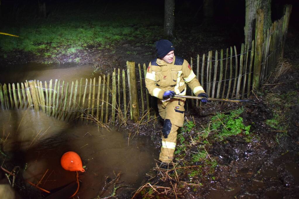 Brandweer voorkomt dat schuur met schapen onder water loopt