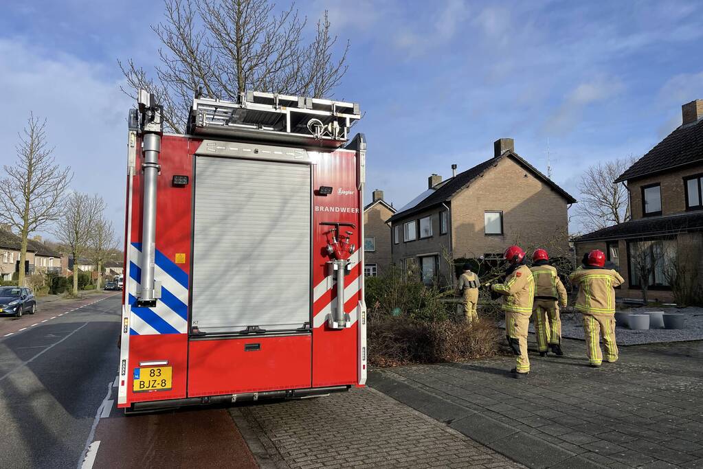 Gevelde boom door storm Franklin in stukken gezaagd