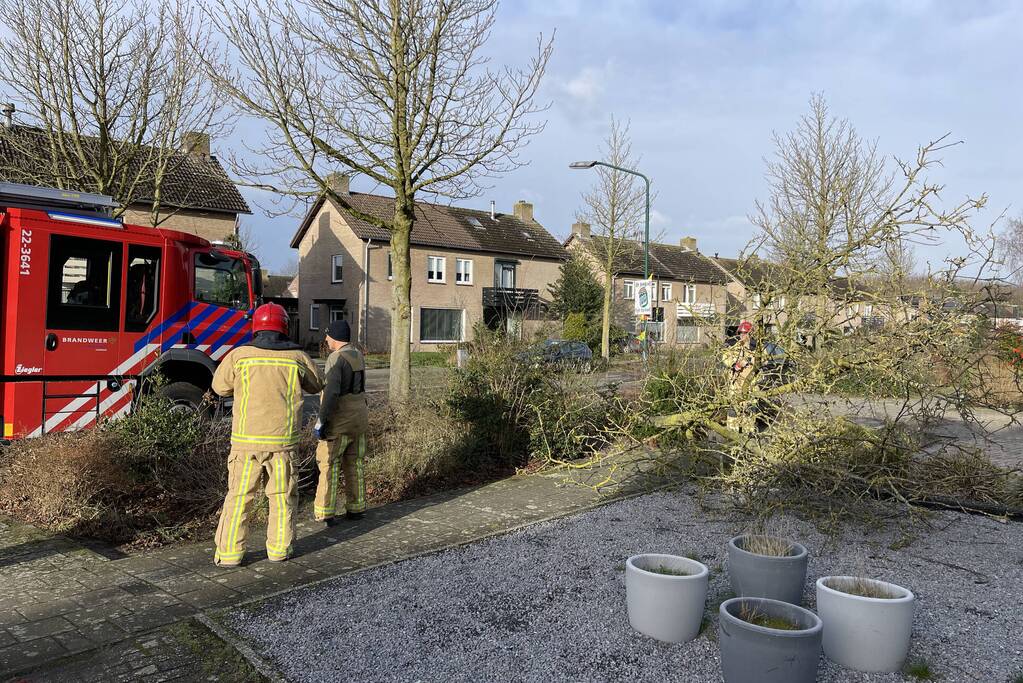 Gevelde boom door storm Franklin in stukken gezaagd