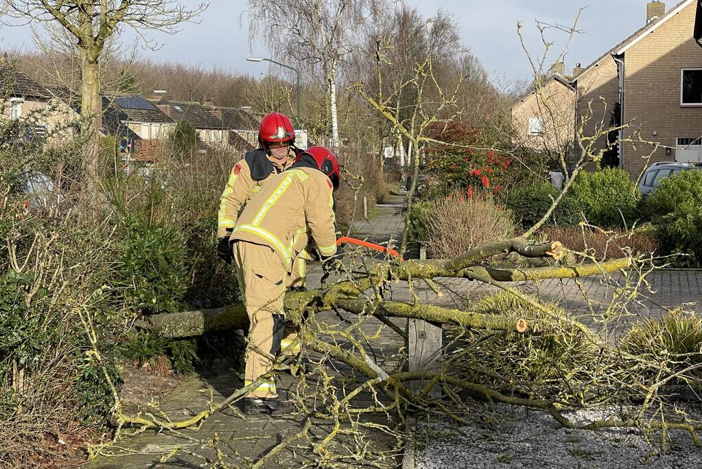 Gevelde boom door storm Franklin in stukken gezaagd