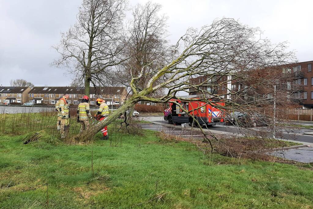 Brandweer haalt gevaarlijk hangende boom neer