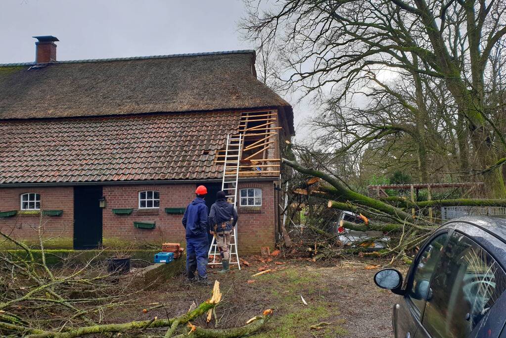 Auto bedolven onder omgewaaide boom