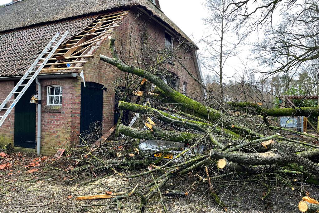 Auto bedolven onder omgewaaide boom