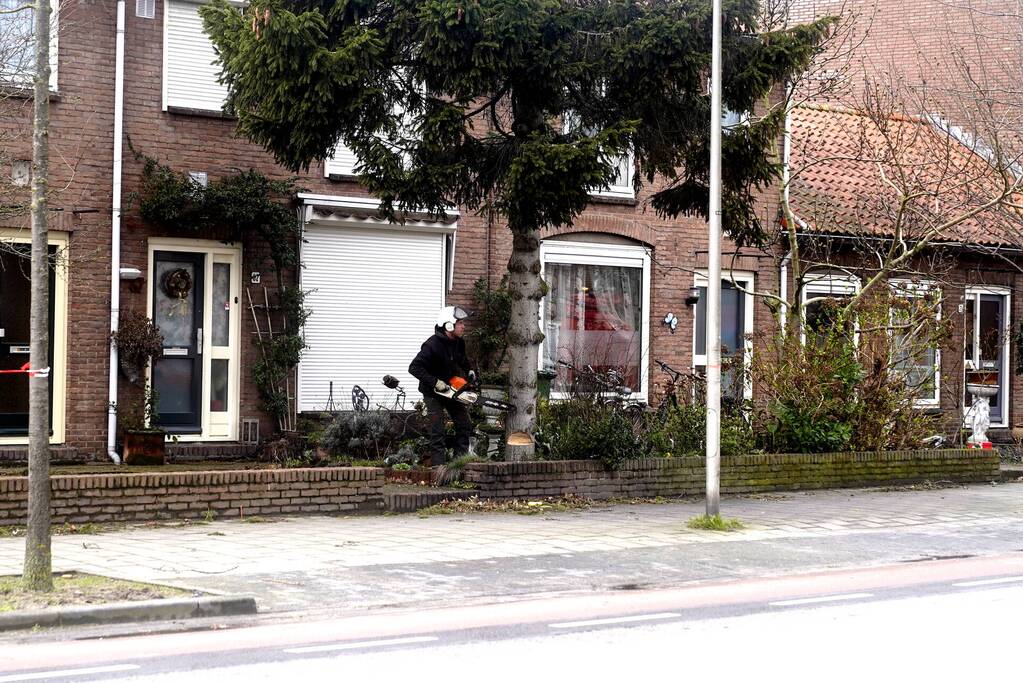 Door storm aangetaste boom neergehaald