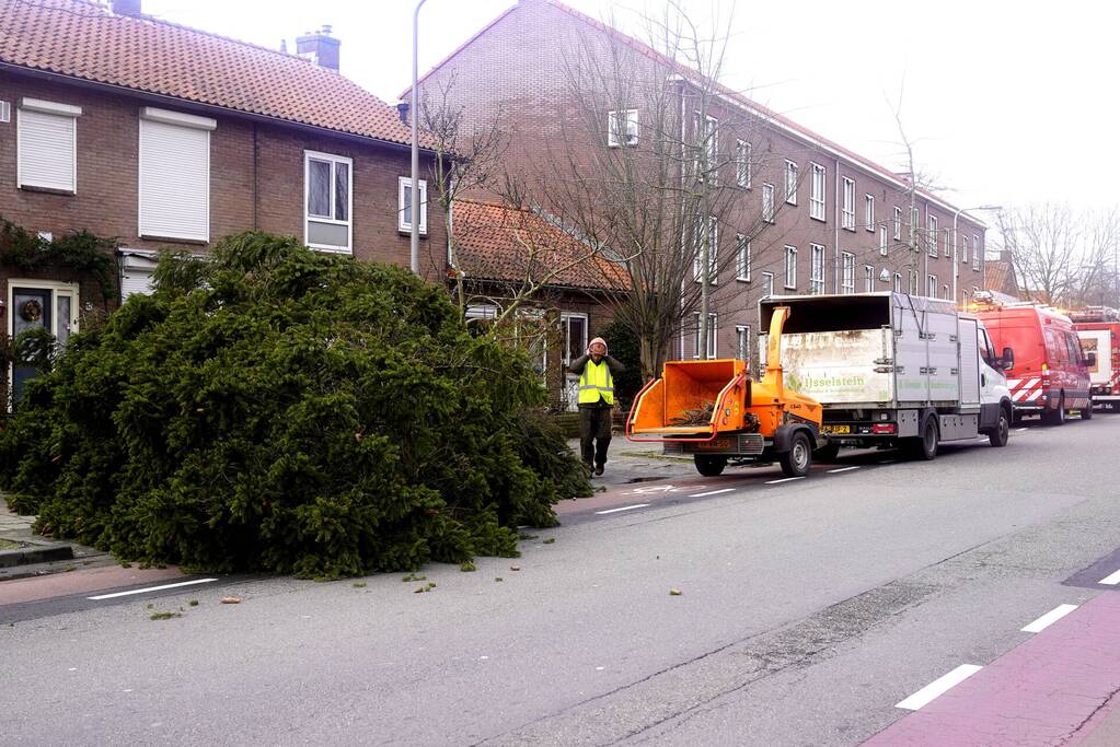 Door storm aangetaste boom neergehaald