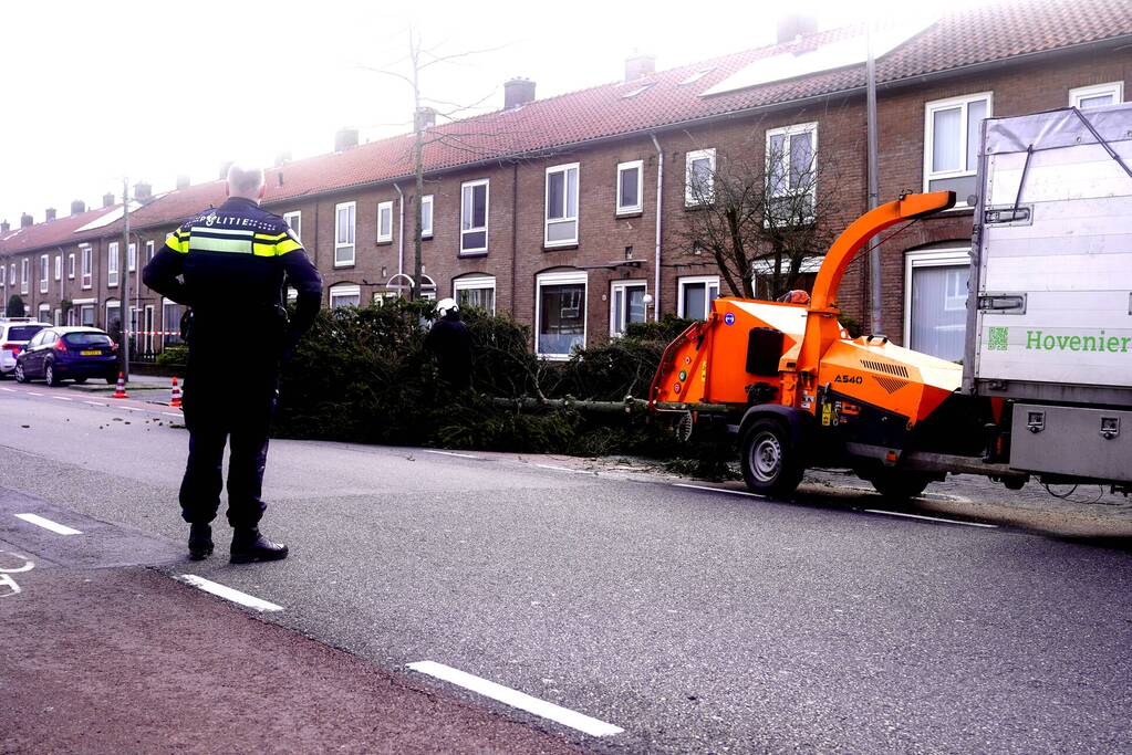 Door storm aangetaste boom neergehaald