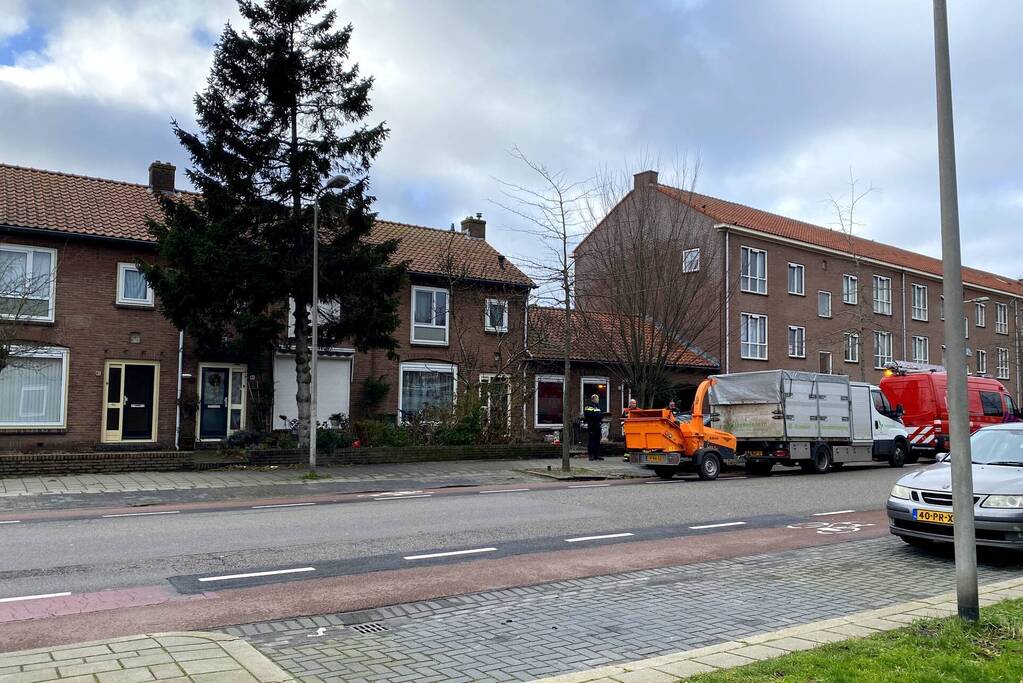 Door storm aangetaste boom neergehaald