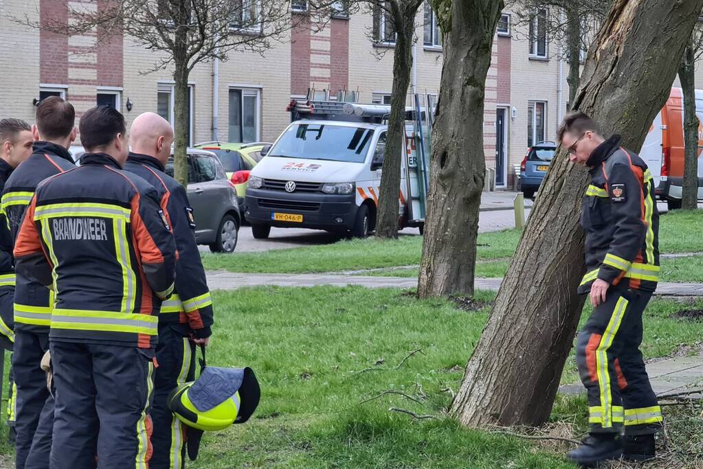 Brandweer ingezet voor scheefstaande boom