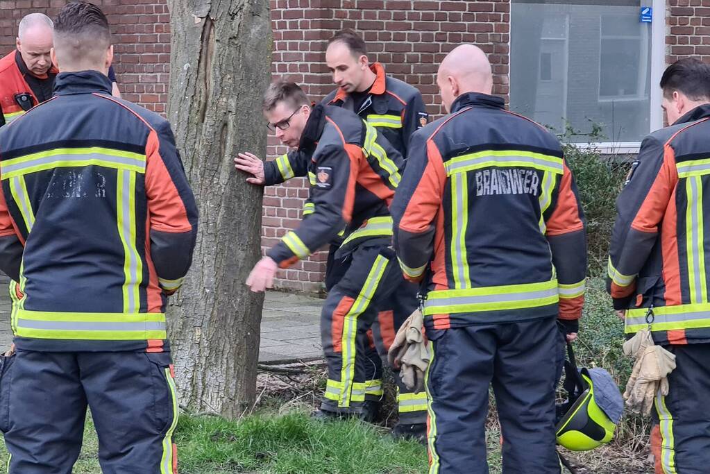 Brandweer ingezet voor scheefstaande boom