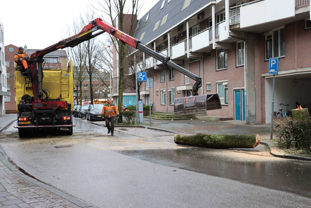 Spoedkap bij boom, busverkeer tijdelijk gestremd
