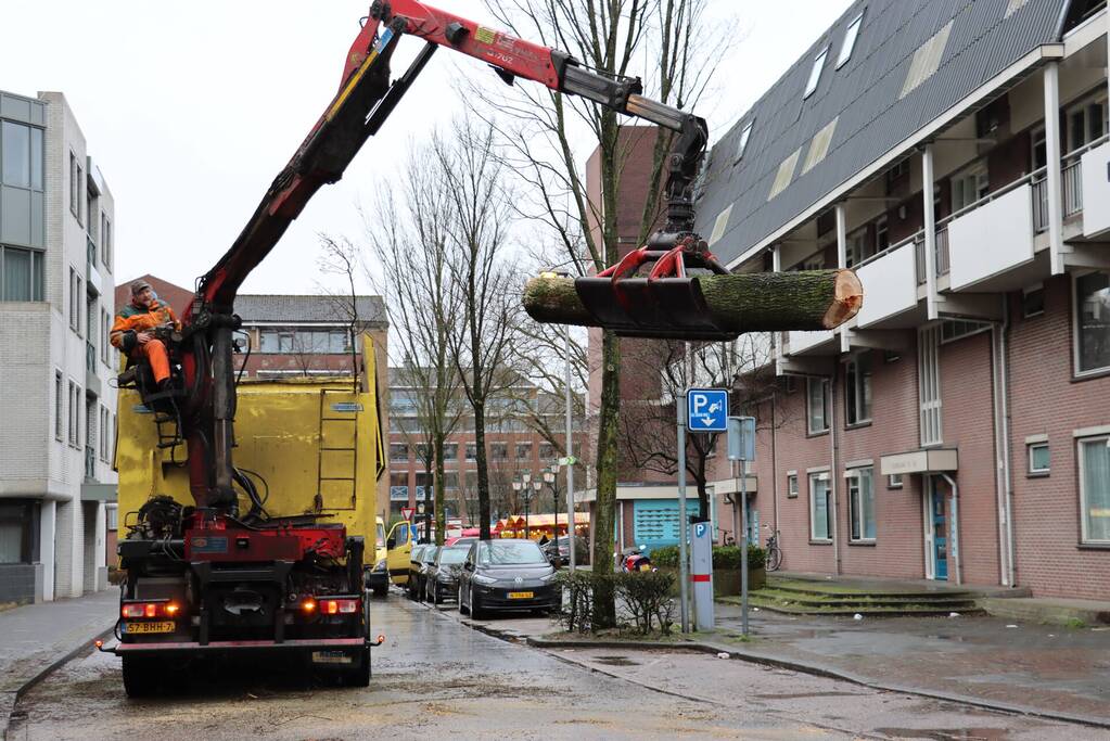 Spoedkap bij boom, busverkeer tijdelijk gestremd