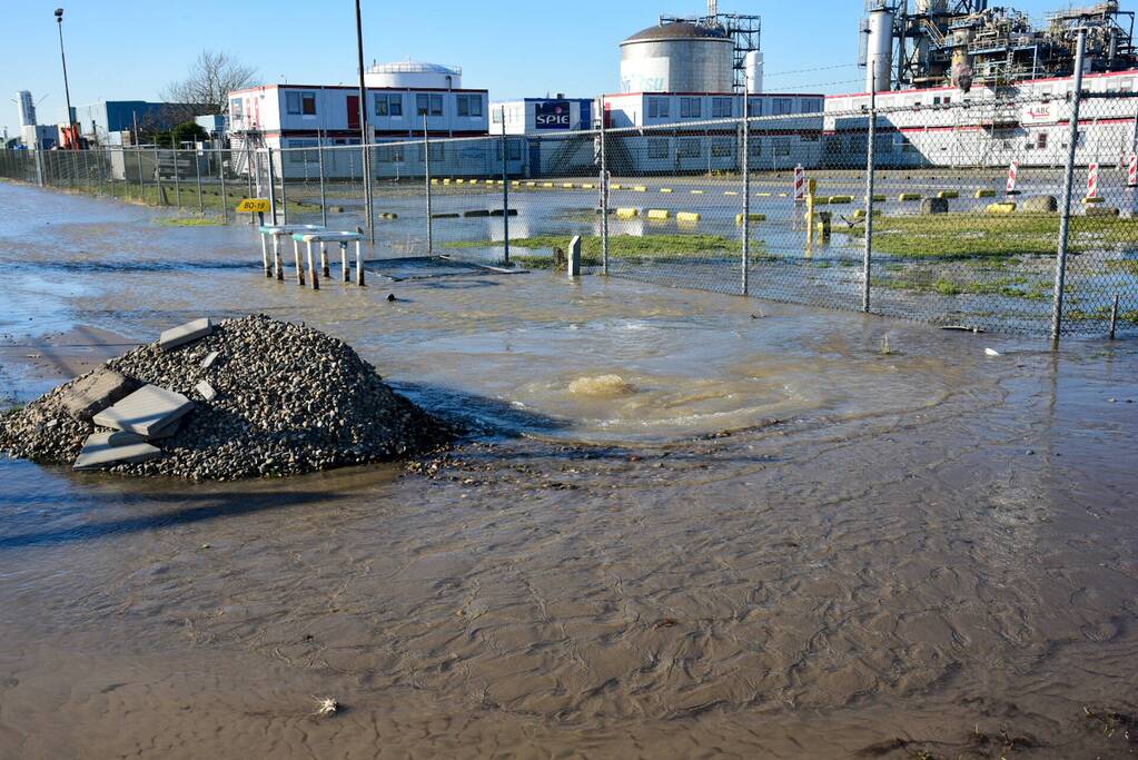 Waterballet op terrein van chemisch bedrijf