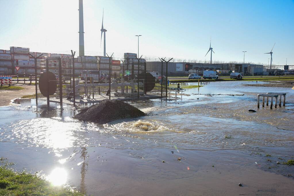 Waterballet op terrein van chemisch bedrijf