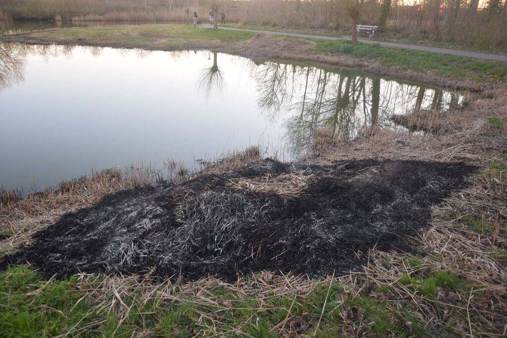 Opnieuw riet in brand gestoken bij Kaaskenswater