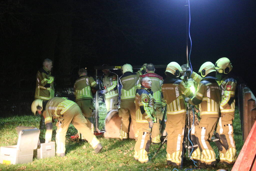 Brandweer helpt paard omhoog