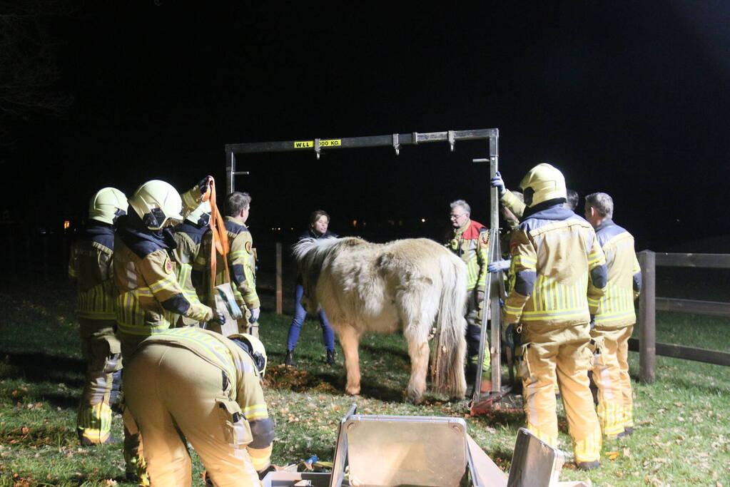 Brandweer helpt paard omhoog