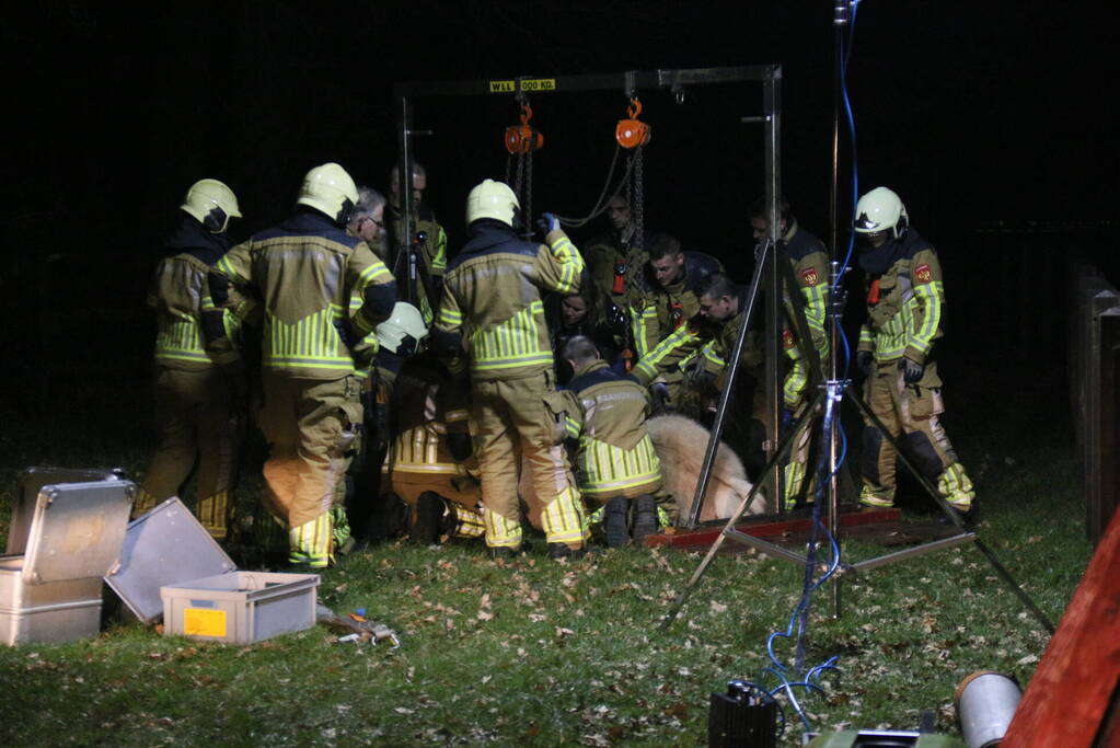 Brandweer helpt paard omhoog
